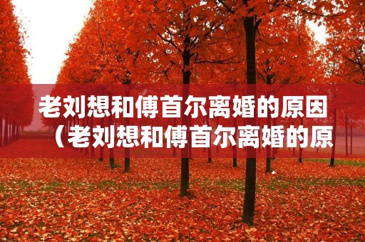 老刘想和傅首尔离婚的原因（老刘想和傅首尔离婚的原因是）