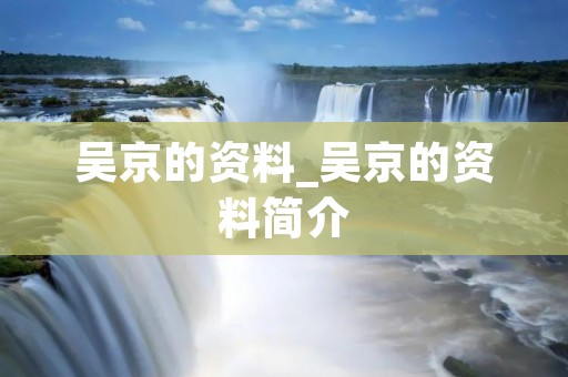 吴京的资料_吴京的资料简介