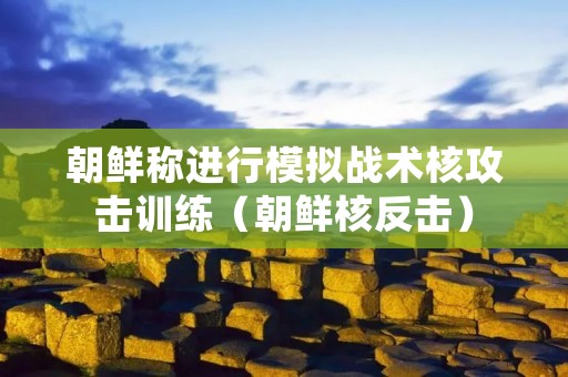朝鲜称进行模拟战术核攻击训练（朝鲜核反击）
