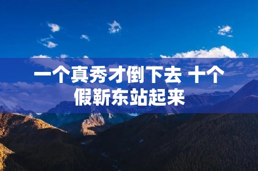 一个真秀才倒下去 十个假靳东站起来