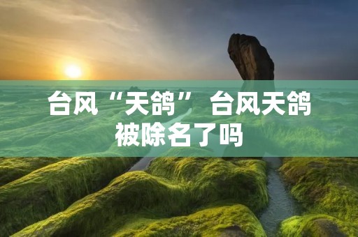 台风“天鸽” 台风天鸽被除名了吗 台风“天鸽” 台风天鸽被除名了吗