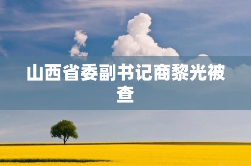 山西省委副书记商黎光被查