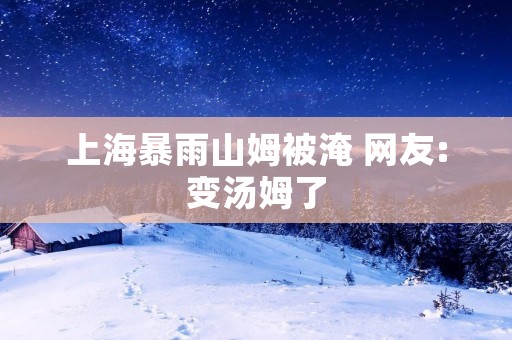 上海暴雨山姆被淹 网友:变汤姆了