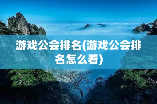 游戏公会排名(游戏公会排名怎么看)