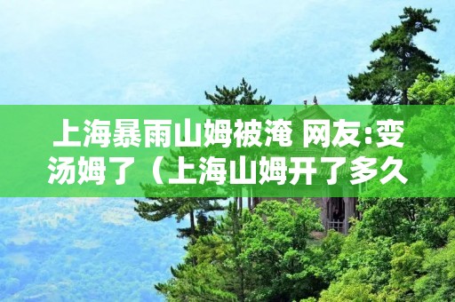 上海暴雨山姆被淹 网友:变汤姆了（上海山姆开了多久了）