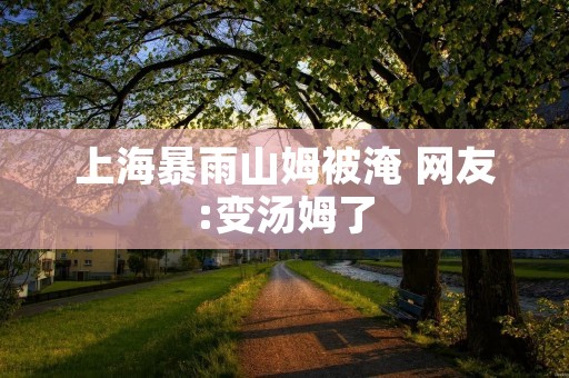 上海暴雨山姆被淹 网友:变汤姆了