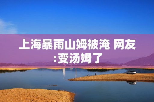 上海暴雨山姆被淹 网友:变汤姆了
