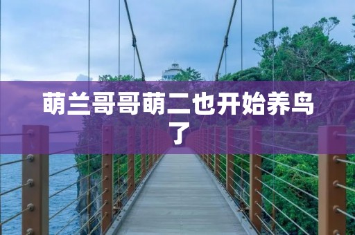 萌兰哥哥萌二也开始养鸟了