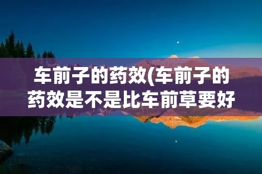 车前子的药效(车前子的药效是不是比车前草要好) 车前子的药效(车前子的药效是不是比车前草要好)