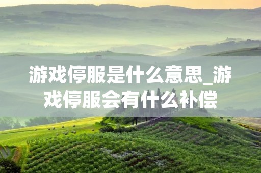 游戏停服是什么意思_游戏停服会有什么补偿