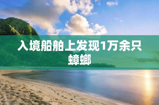 入境船舶上发现1万余只蟑螂