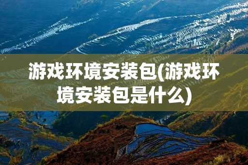 游戏环境安装包(游戏环境安装包是什么)