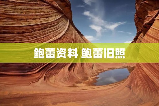 鲍蕾资料 鲍蕾旧照