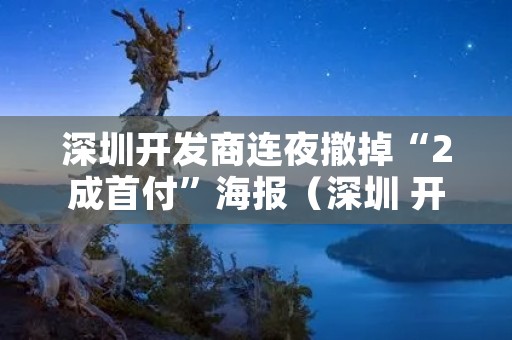 深圳开发商连夜撤掉“2成首付”海报（深圳 开发商）