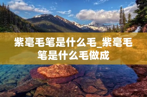 紫毫毛笔是什么毛_紫毫毛笔是什么毛做成