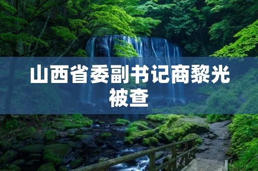 山西省委副书记商黎光被查