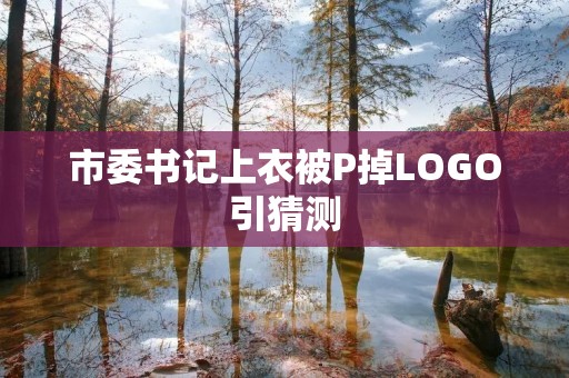 市委书记上衣被P掉LOGO引猜测
