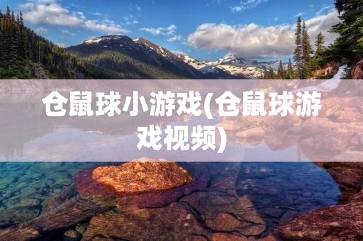 仓鼠球小游戏(仓鼠球游戏视频)