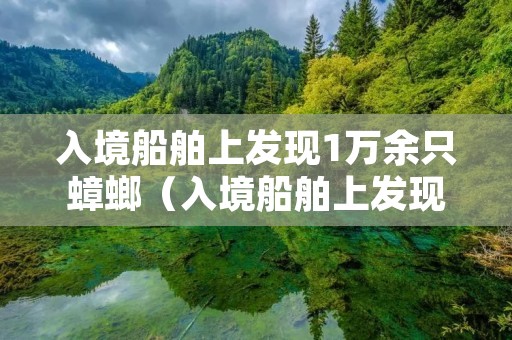 入境船舶上发现1万余只蟑螂（入境船舶上发现1万余只蟑螂）