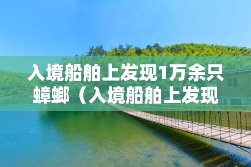 入境船舶上发现1万余只蟑螂(入境船舶上发现1万余只蟑螂怎么赔偿)