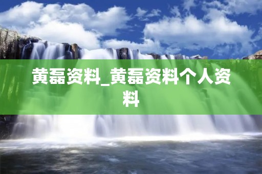 黄磊资料_黄磊资料个人资料