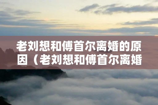 老刘想和傅首尔离婚的原因(老刘想和傅首尔离婚的原因是)