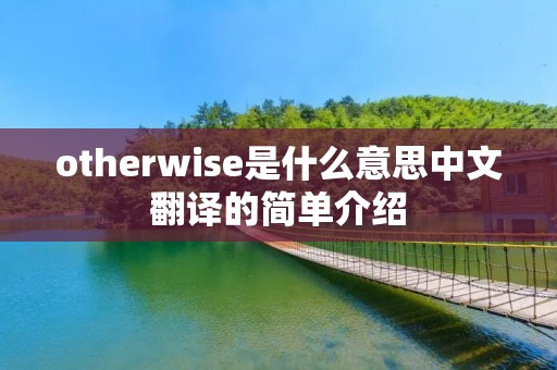 otherwise是什么意思中文翻译的简单介绍