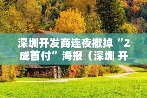 深圳开发商连夜撤掉“2成首付”海报(深圳 开发商)