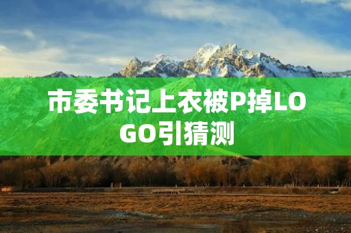 市委书记上衣被P掉LOGO引猜测