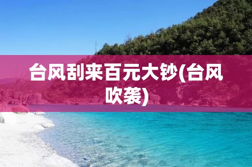 台风刮来百元大钞(台风吹袭) 台风刮来百元大钞(台风吹袭)
