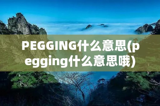 PEGGING什么意思(pegging什么意思哦)