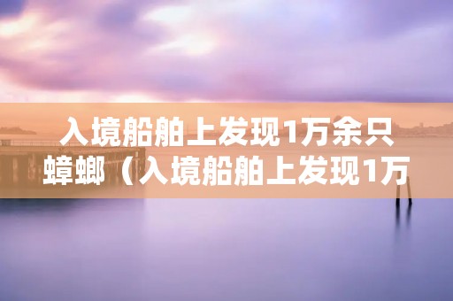 入境船舶上发现1万余只蟑螂(入境船舶上发现1万余只蟑螂)