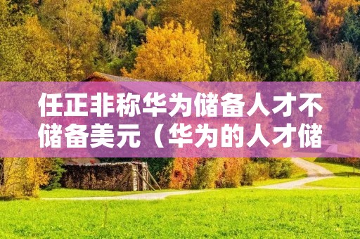 任正非称华为储备人才不储备美元(华为的人才储备)