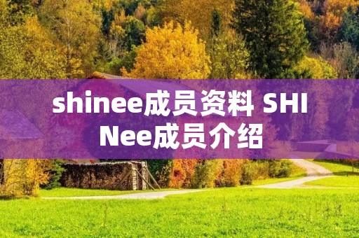 shinee成员资料 SHINee成员介绍