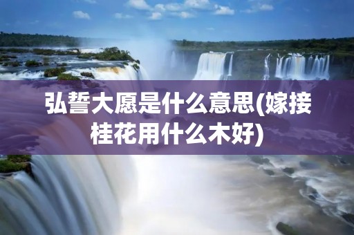 弘誓大愿是什么意思(嫁接桂花用什么木好) 弘誓大愿是什么意思(嫁接桂花用什么木好)