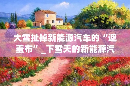 大雪扯掉新能源汽车的“遮羞布”_下雪天的新能源汽车