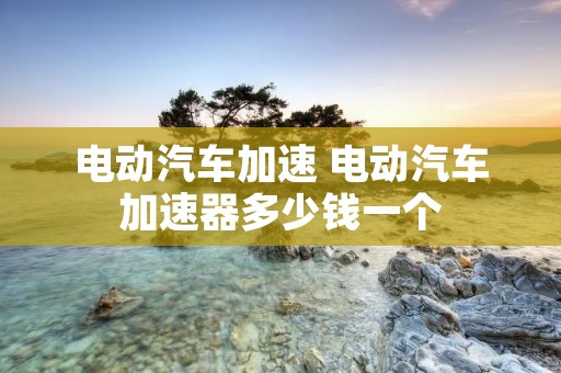 电动汽车加速 电动汽车加速器多少钱一个