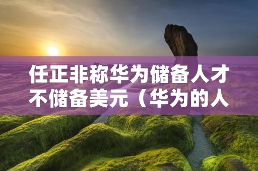 任正非称华为储备人才不储备美元(华为的人才储备)