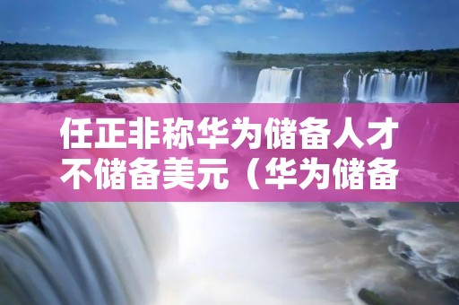 任正非称华为储备人才不储备美元(华为储备了多少人才)