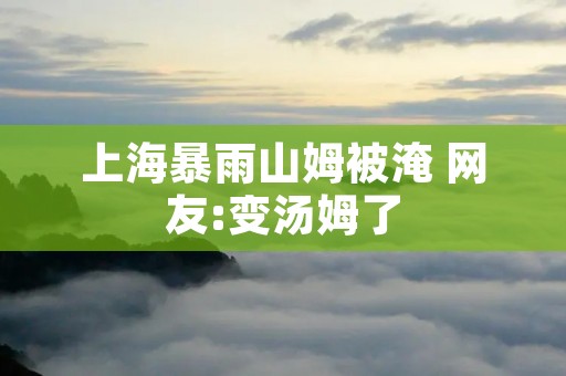 上海暴雨山姆被淹 网友:变汤姆了