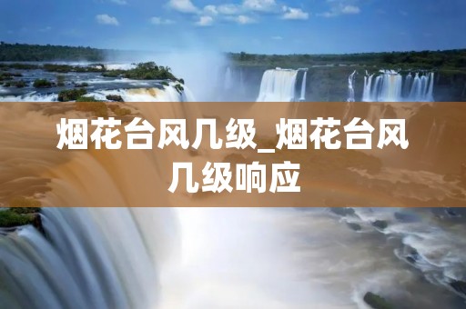 烟花台风几级_烟花台风几级响应 烟花台风几级_烟花台风几级响应