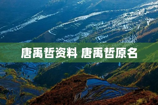 唐禹哲资料 唐禹哲原名