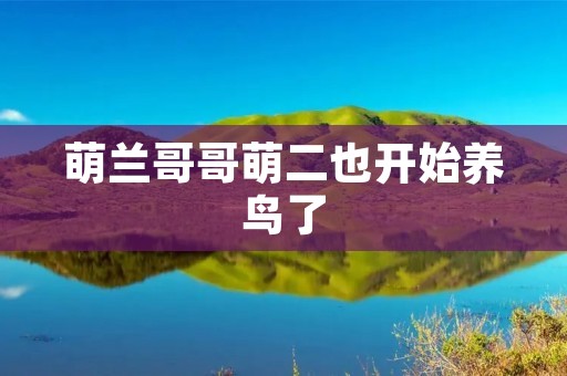 萌兰哥哥萌二也开始养鸟了