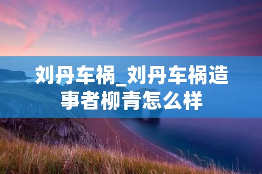 刘丹车祸_刘丹车祸造事者柳青怎么样