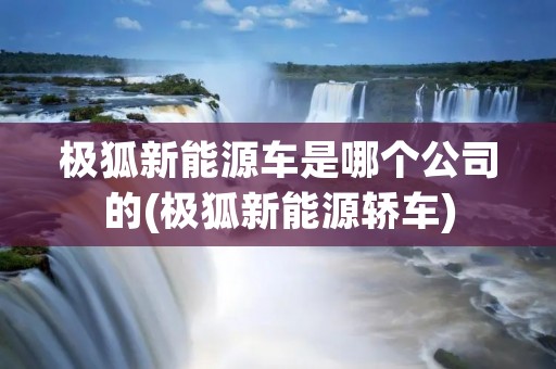 极狐新能源车是哪个公司的(极狐新能源轿车)