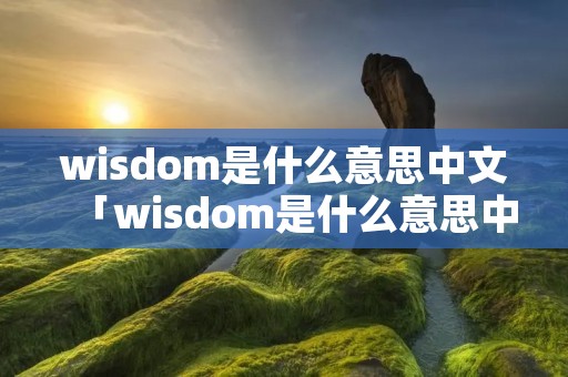 wisdom是什么意思中文「wisdom是什么意思中文翻译怎么读」 wisdom是什么意思中文「wisdom是什么意思中文翻译怎么读」