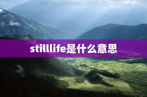 stilllife是什么意思