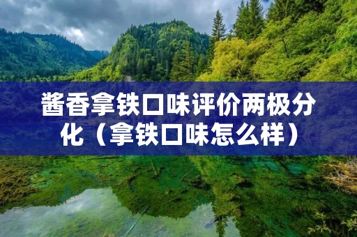 酱香拿铁口味评价两极分化（拿铁口味怎么样）
