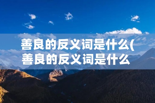 善良的反义词是什么(善良的反义词是什么 标准答案)