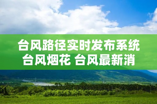 台风路径实时发布系统台风烟花 台风最新消息台风烟花路径实时路径图